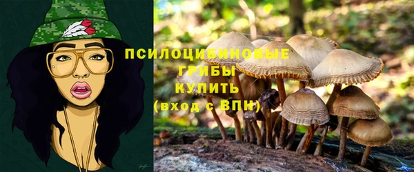 мет Аркадак